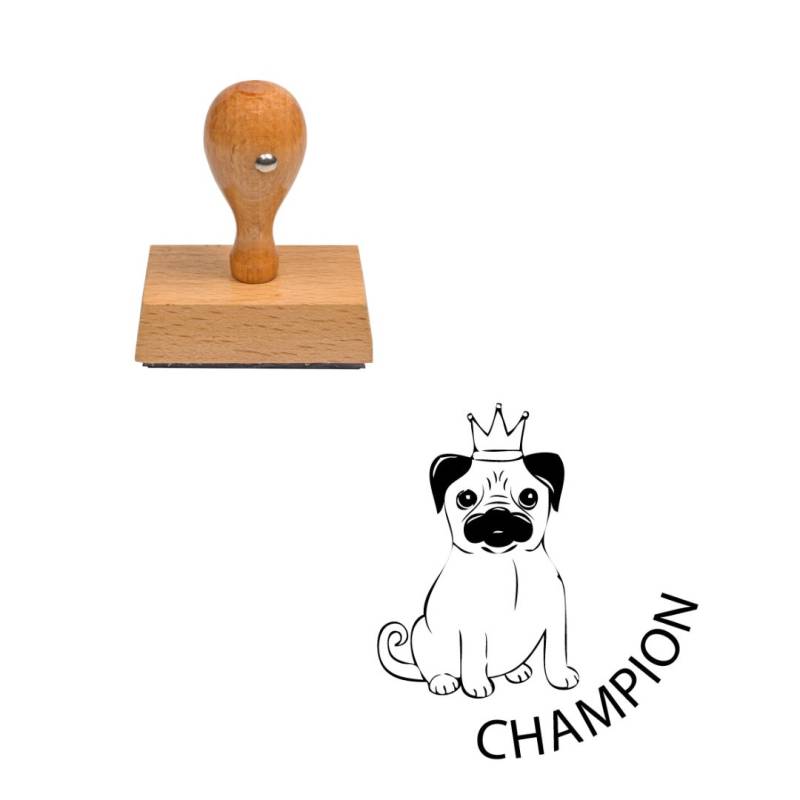 Tampon enseignant champion n°286